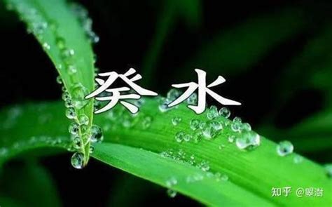 癸水 壬水|黄方易学：论十天干之：壬水和癸水的区别